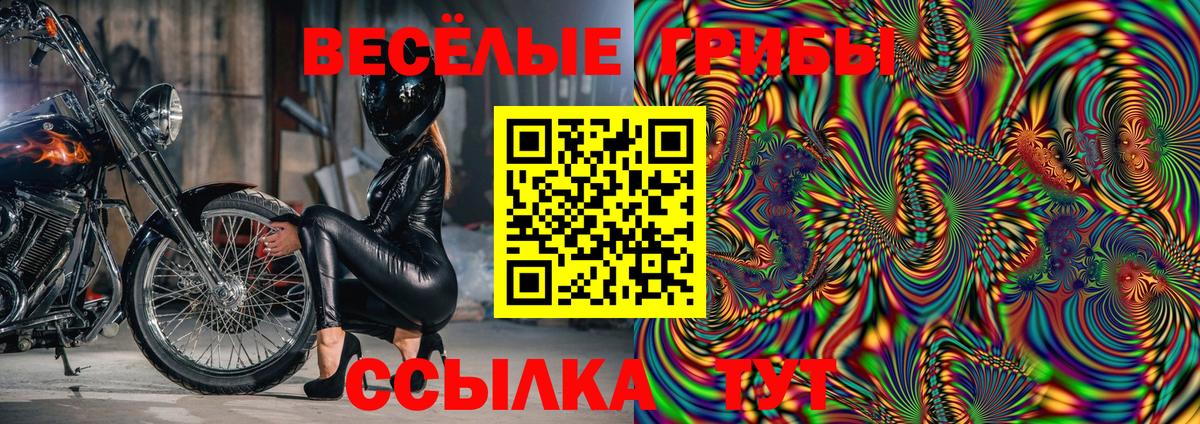 Костомукша  Псилоцибиновые грибы мицелий  Вход с VPN  Галлюциногенные грибы Cubensis 