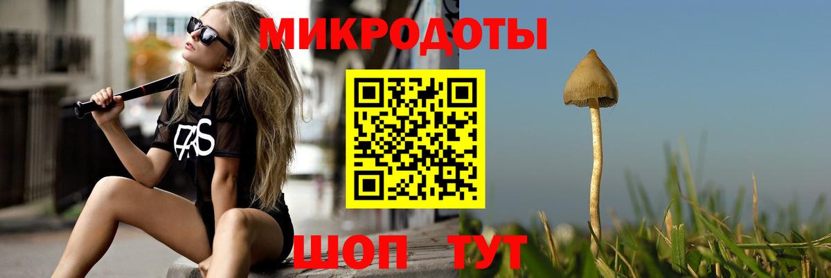 Галлюциногенные грибы Cubensis Костомукша